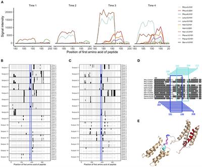 Linear Epitope Binding Patterns of Grass Pollen-Specific Antibodies in Allergy and in Response to Allergen-Specific Immunotherapy
